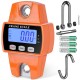 YHCS-001 Portable 300kg Hanging Scale